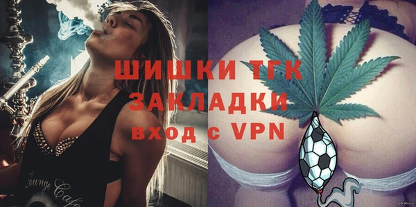соль ск Зеленодольск