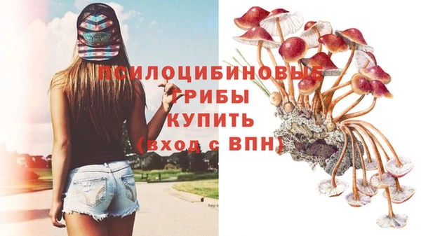 соль ск Зеленодольск